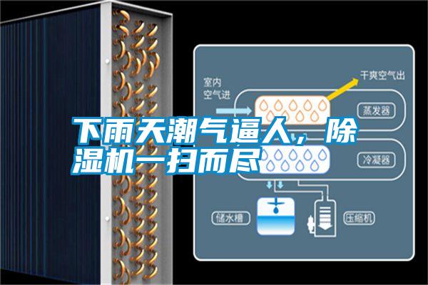 下雨天潮氣逼人，除濕機一掃而盡