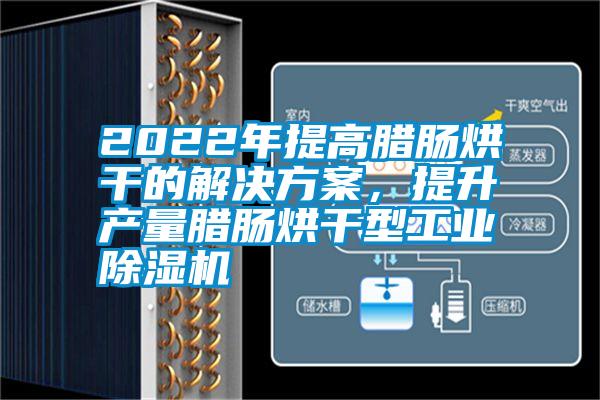 2022年提高臘腸烘干的解決方案，提升產(chǎn)量臘腸烘干型工業(yè)除濕機