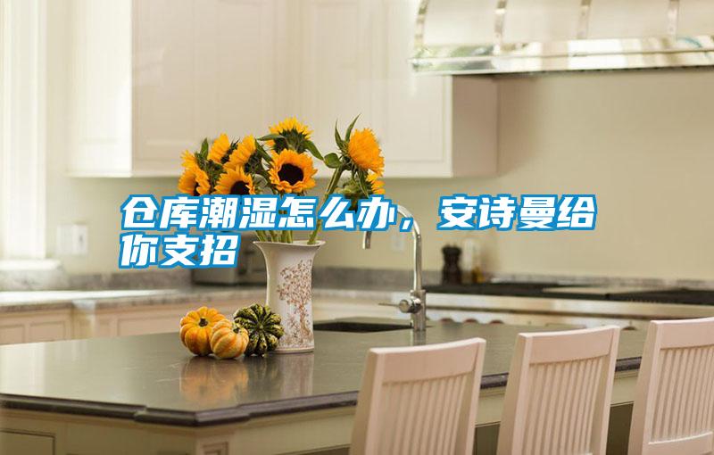 倉(cāng)庫(kù)潮濕怎么辦，安詩(shī)曼給你支招