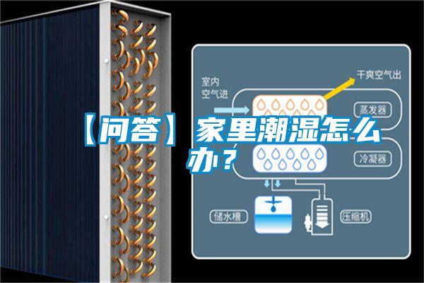 【問答】家里潮濕怎么辦？