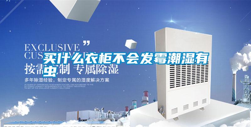 買什么衣柜不會(huì)發(fā)霉潮濕有蟲(chóng)
