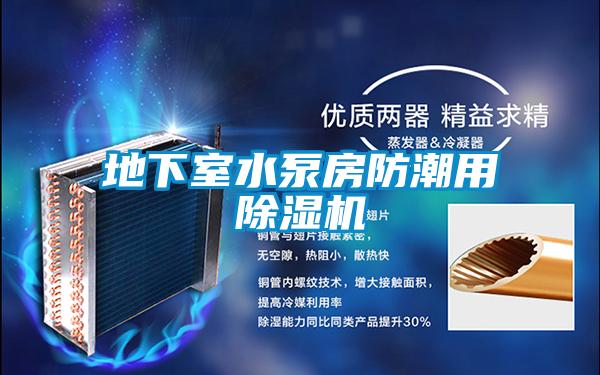 地下室水泵房防潮用除濕機(jī)