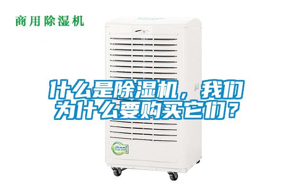 什么是除濕機，我們為什么要購買它們？