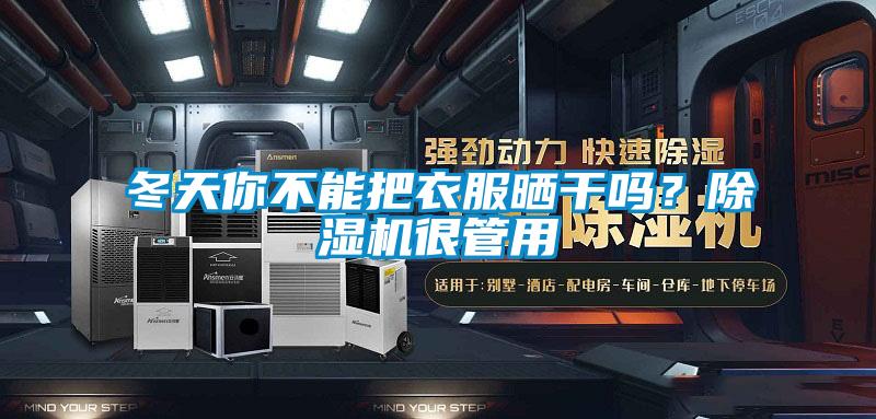 冬天你不能把衣服曬干嗎？除濕機很管用