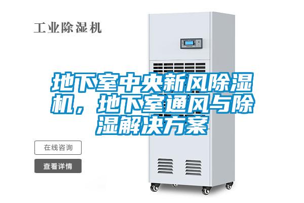 地下室中央新風除濕機,地下室通風與除濕解決方案