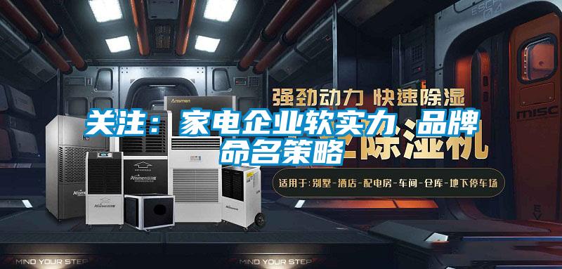 關注：家電企業軟實力 品牌命名策略
