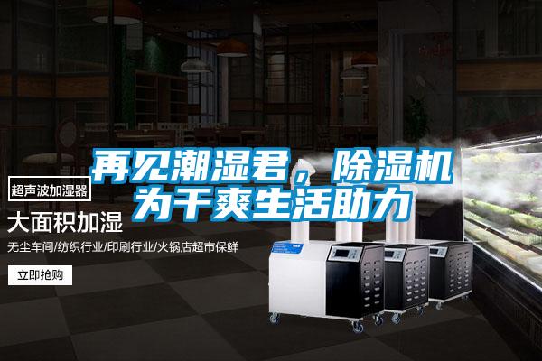 再見潮濕君，除濕機為干爽生活助力