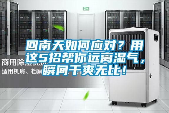 回南天如何應(yīng)對(duì)?用這5招幫你遠(yuǎn)離濕氣,瞬間干爽無(wú)比!