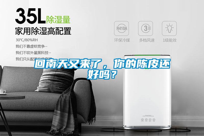 回南天又來了,你的陳皮還好嗎?