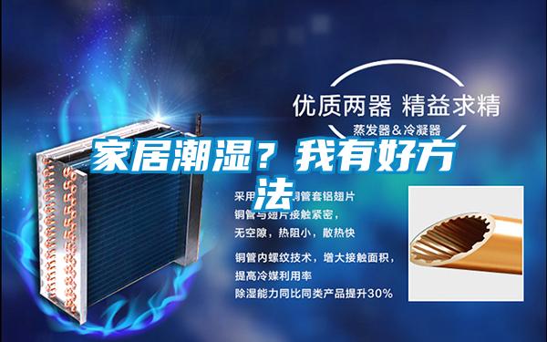 家居潮濕？我有好方法