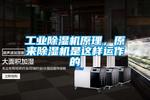工業除濕機原理，原來除濕機是這樣運作的