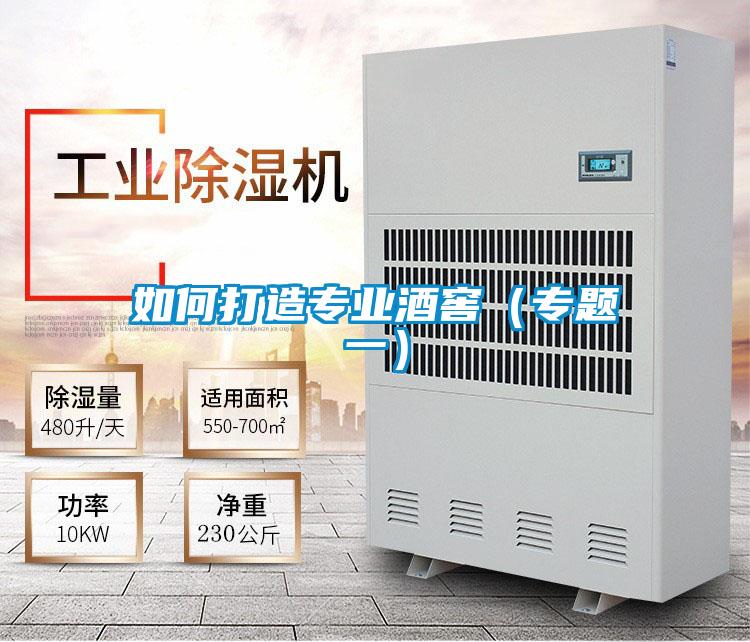 如何打造專業酒窖（專題一）