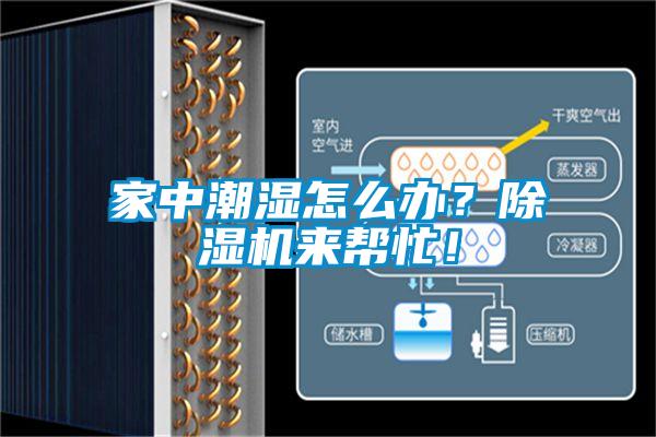 家中潮濕怎么辦？除濕機來幫忙！