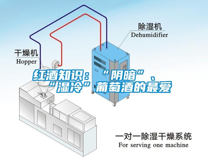 紅酒知識(shí):“陰暗”、“濕冷”葡萄酒的最愛