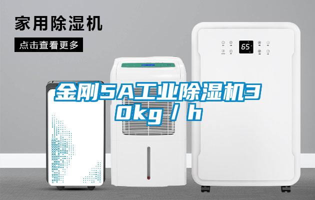 金剛5A工業除濕機30kg/h