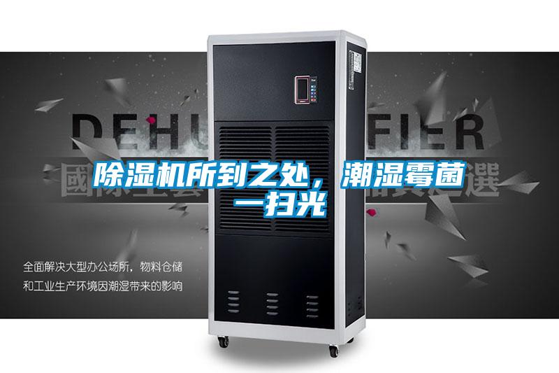 除濕機(jī)所到之處,潮濕霉菌一掃光