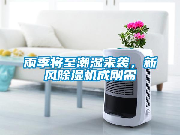 雨季將至潮濕來襲，新風(fēng)除濕機成剛需