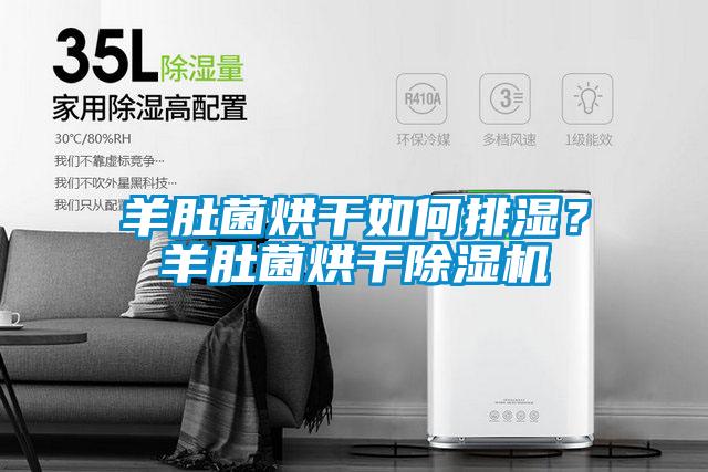 羊肚菌烘干如何排濕?羊肚菌烘干除濕機(jī)