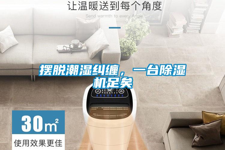 擺脫潮濕糾纏,一臺(tái)除濕機(jī)足矣