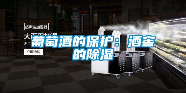 葡萄酒的保護:酒窖的除濕