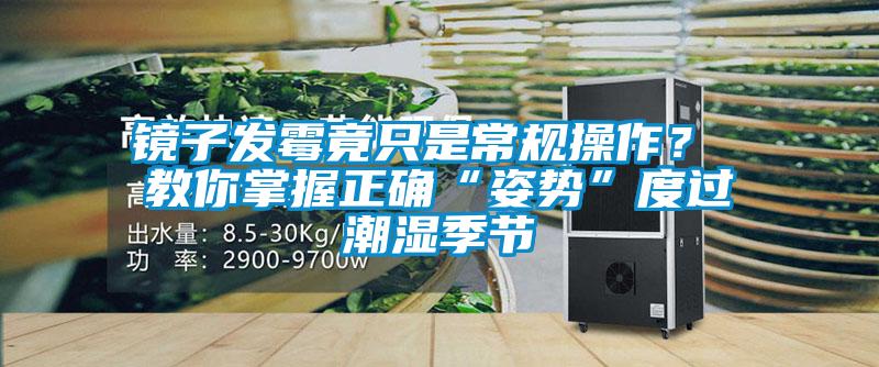 鏡子發霉竟只是常規操作？ 教你掌握正確“姿勢”度過潮濕季節