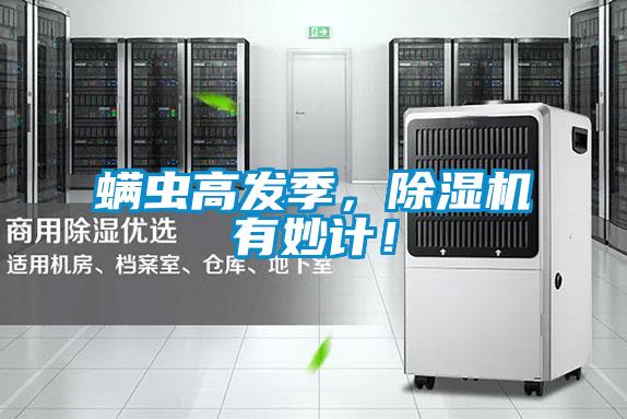 螨蟲高發季,除濕機有妙計!