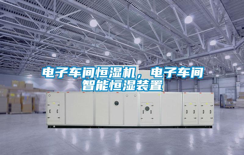 電子車(chē)間恒濕機(jī),電子車(chē)間智能恒濕裝置