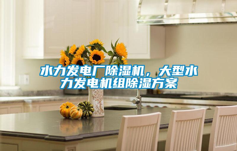 水力發(fā)電廠除濕機(jī),大型水力發(fā)電機(jī)組除濕方案