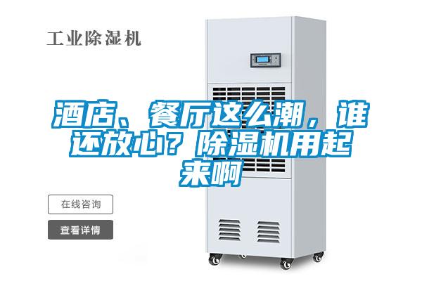 酒店、餐廳這么潮,誰還放心?除濕機用起來啊