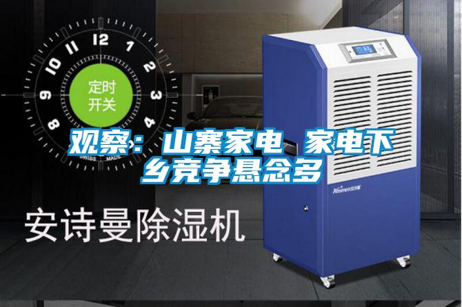 觀察:山寨家電 家電下鄉競爭懸念多