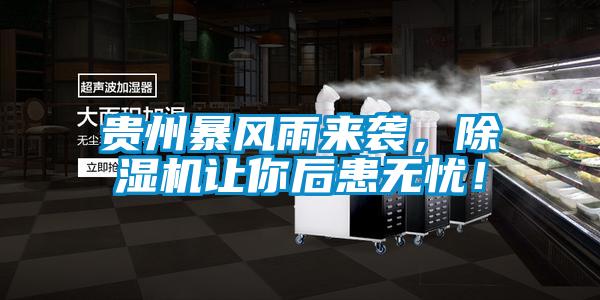 貴州暴風(fēng)雨來(lái)襲,除濕機(jī)讓你后患無(wú)憂!