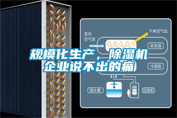 規?；a，除濕機企業說不出的痛