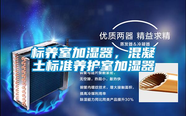 標養室加濕器,混凝土標準養護室加濕器