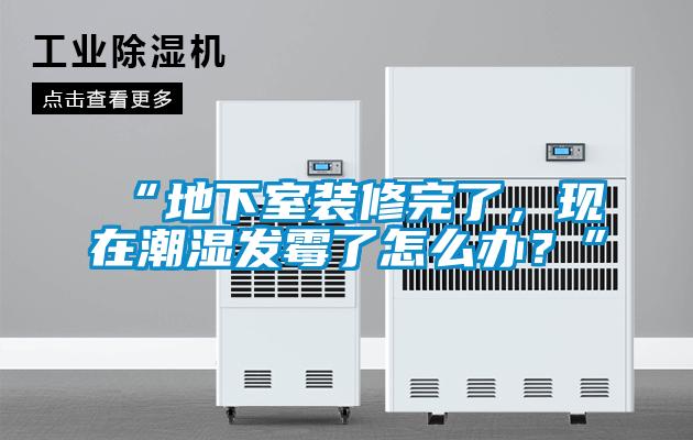 “地下室裝修完了,現在潮濕發霉了怎么辦?”