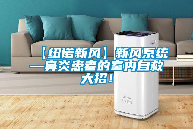 【紐諾新風】新風系統—鼻炎患者的室內自救大招！