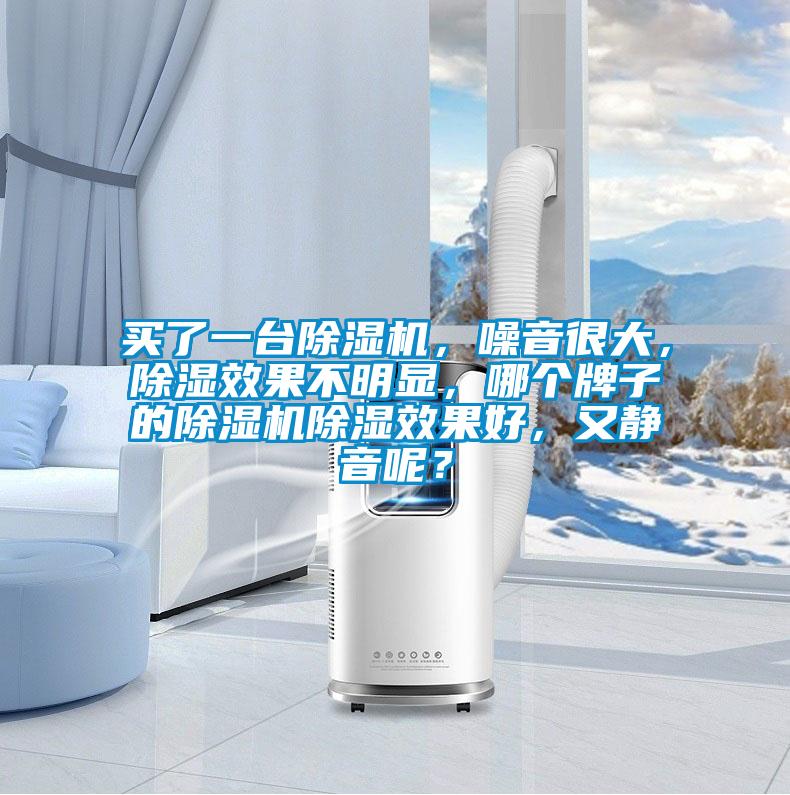 買了一臺除濕機,噪音很大,除濕效果不明顯,哪個牌子的除濕機除濕效果好,又靜音呢?
