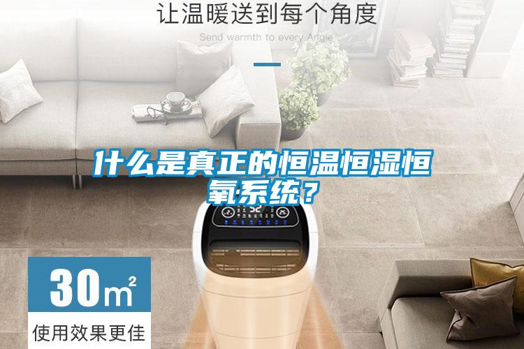 什么是真正的恒溫恒濕恒氧系統？