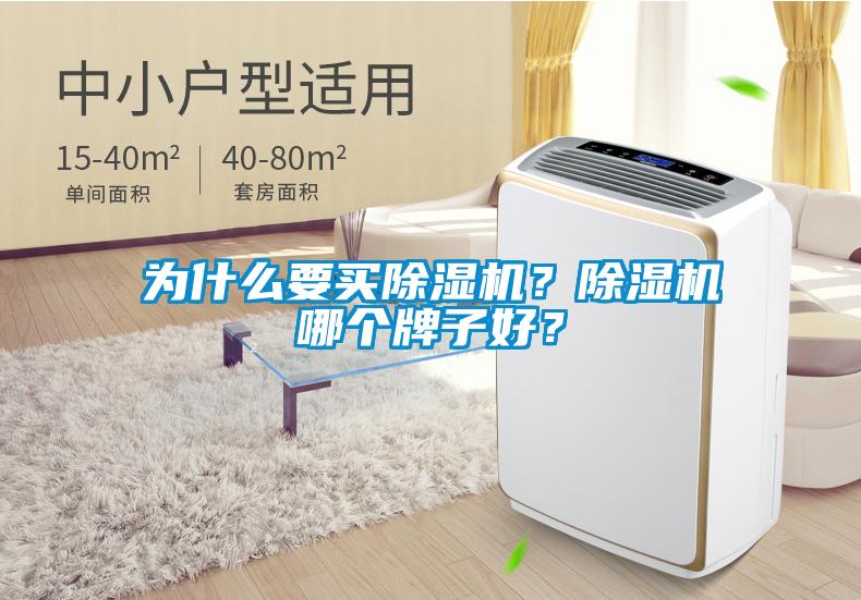 為什么要買除濕機?除濕機哪個牌子好?