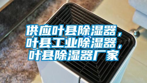 供應葉縣除濕器，葉縣工業除濕器，葉縣除濕器廠家