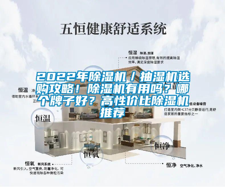 2022年除濕機／抽濕機選購攻略！除濕機有用嗎？哪個牌子好？高性價比除濕機推薦