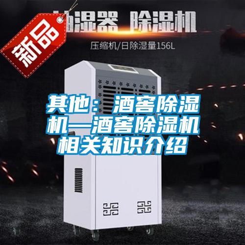 其他:酒窖除濕機(jī)—酒窖除濕機(jī)相關(guān)知識介紹