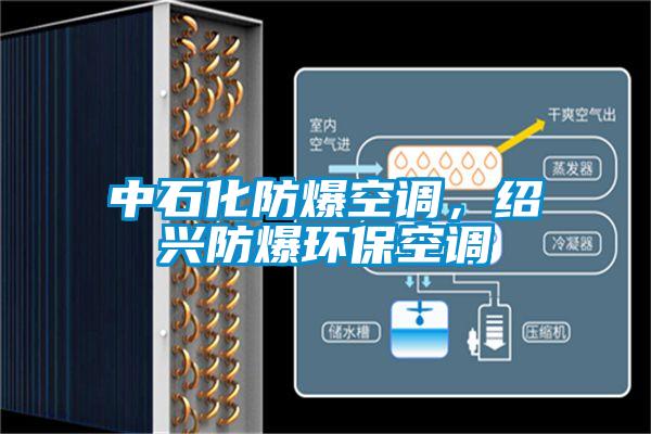 中石化防爆空調(diào)，紹興防爆環(huán)?？照{(diào)