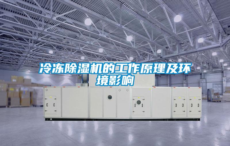 冷凍除濕機的工作原理及環境影響