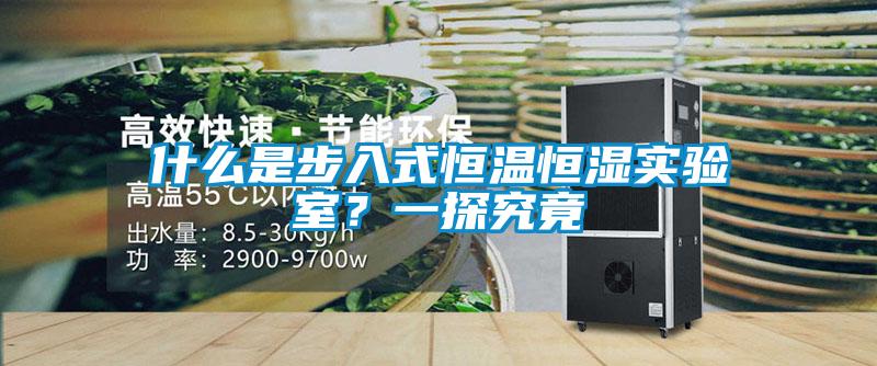 什么是步入式恒溫恒濕實驗室？一探究竟