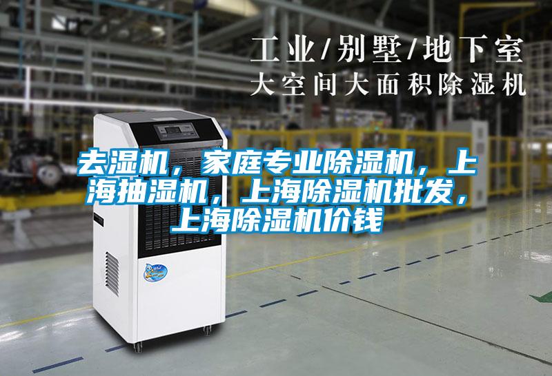 去濕機，家庭專業除濕機，上海抽濕機，上海除濕機批發，上海除濕機價錢