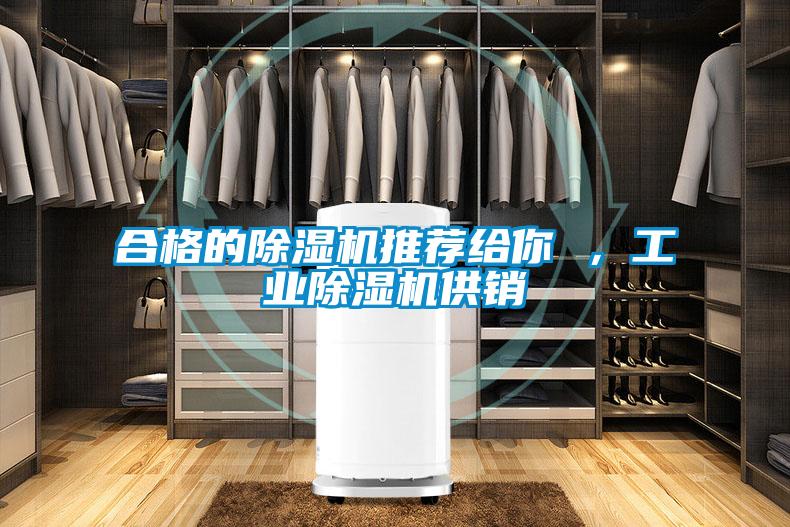 合格的除濕機推薦給你 ，工業除濕機供銷