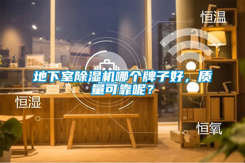 地下室除濕機哪個牌子好，質量可靠呢？