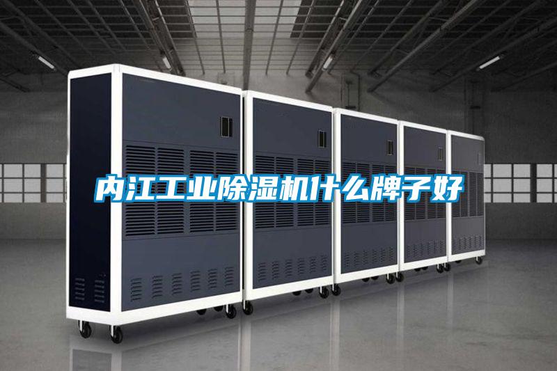 內(nèi)江工業(yè)除濕機什么牌子好