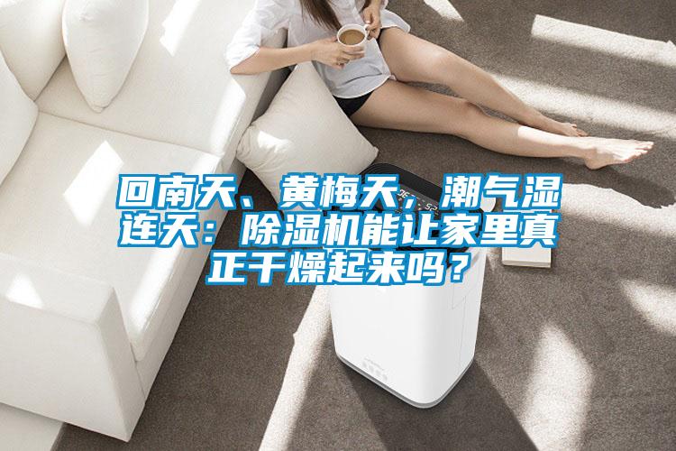 回南天、黃梅天，潮氣濕連天：除濕機能讓家里真正干燥起來嗎？