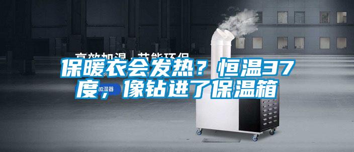 保暖衣會發熱？恒溫37度，像鉆進了保溫箱